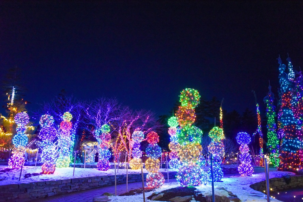Photo of holiday lights at the Coastal Maine Botanical Gardens, Gardens Aglow Event.